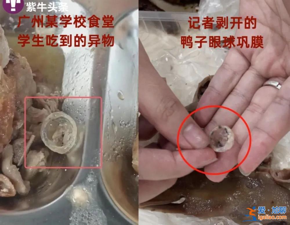 食堂飯菜異物是鴨子眼球鞏膜？現(xiàn)場(chǎng)實(shí)測(cè)鴨眼球鞏膜比鴨眼外表大數(shù)倍？