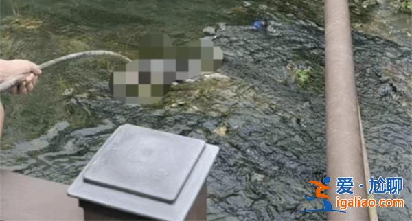 江西警方|萬年縣濱溪河河道發(fā)現(xiàn)無名男尸正調(diào)查走訪[濱溪河]？