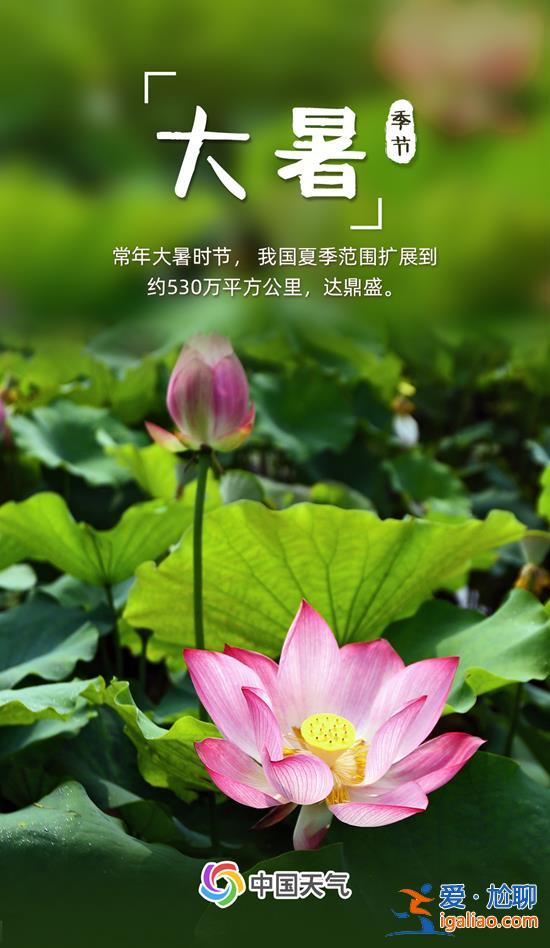 全年最熱節(jié)氣來了 全國近三分之一區(qū)域高溫最大值出現(xiàn)在大暑？