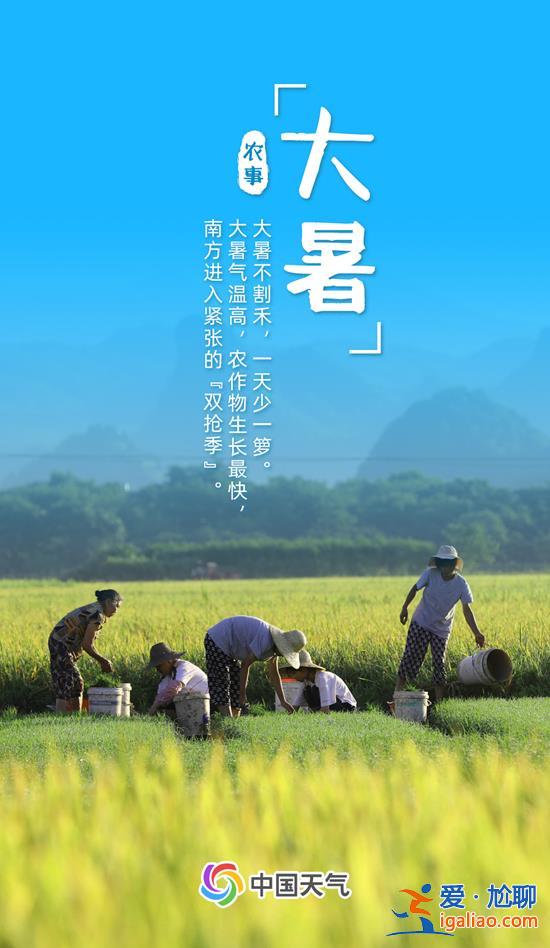 全年最熱節(jié)氣來了 全國近三分之一區(qū)域高溫最大值出現(xiàn)在大暑？