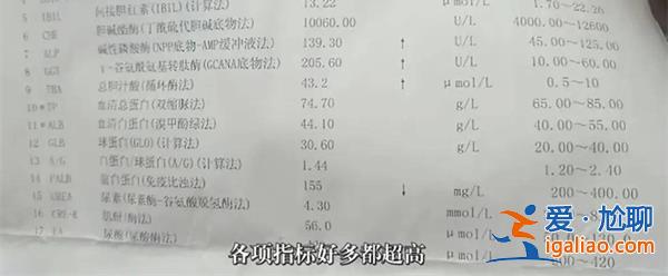 唐山男子在飯店吃到了壁虎[吃到壁虎]？
