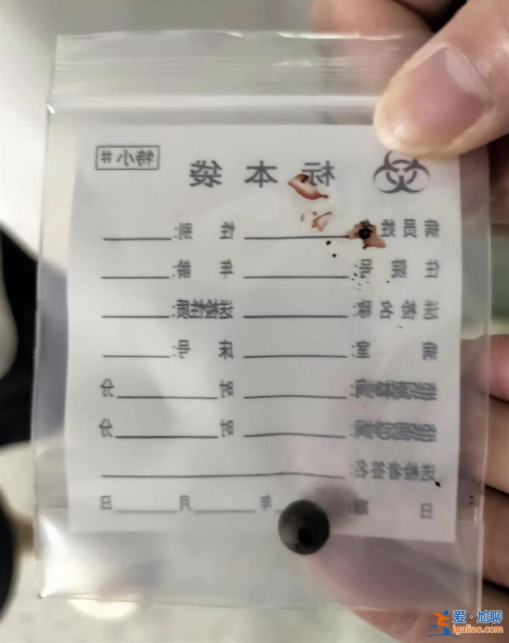 8歲女童被兩少年用彈弓射傷致左眼失明 肇事者未達刑責年齡不予立案？