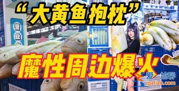 大黃魚抱枕699元一個(gè)？