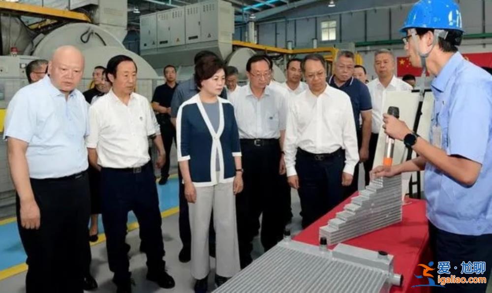 中國作協(xié)主席、作家鐵凝有了外事新頭銜？