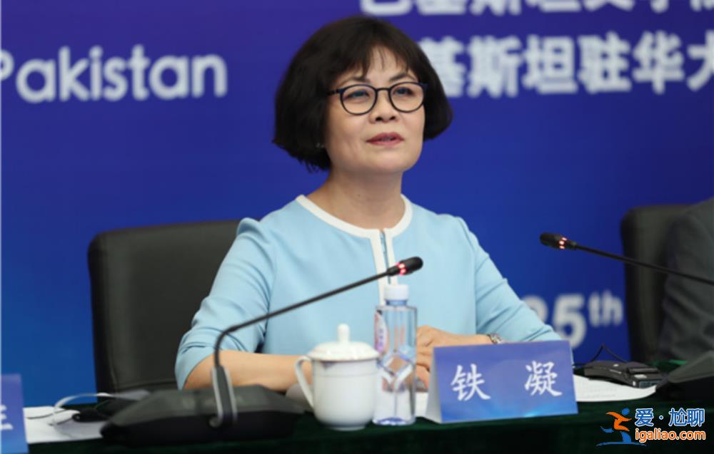 中國作協(xié)主席、作家鐵凝有了外事新頭銜？