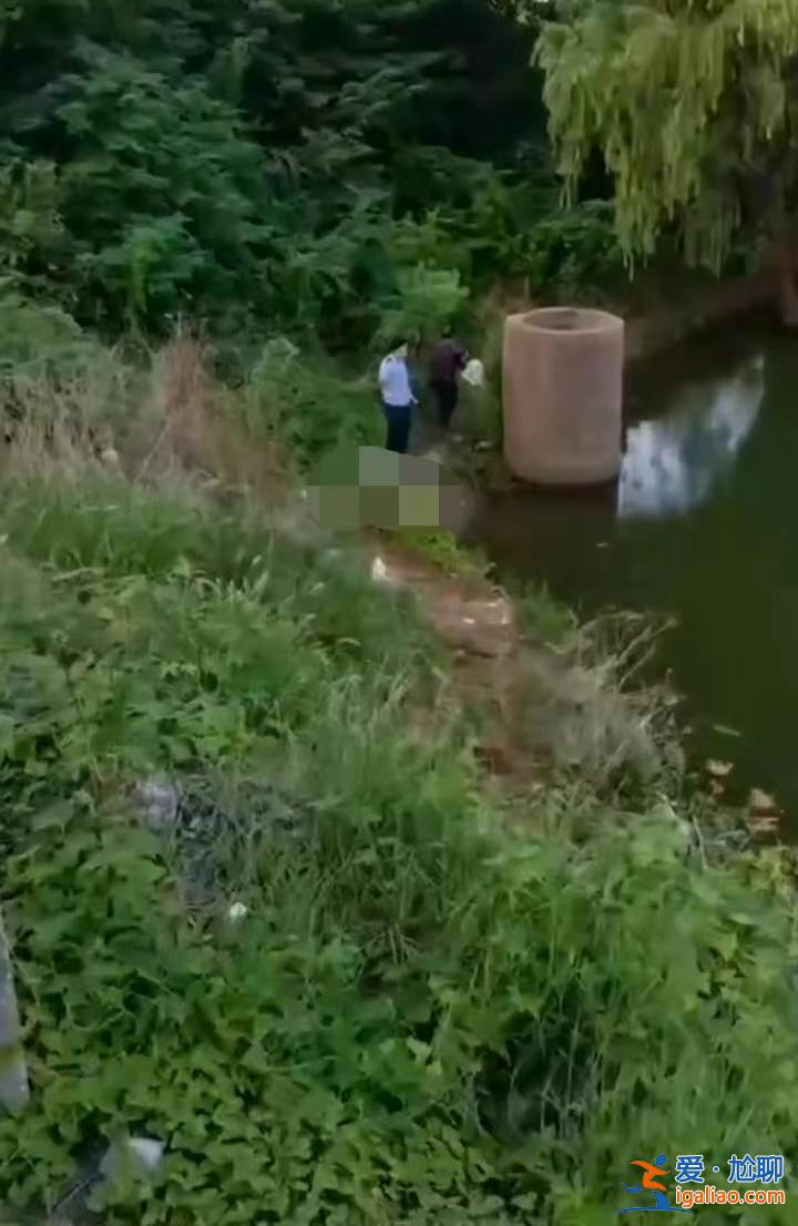 是否喝酒待鑒定？