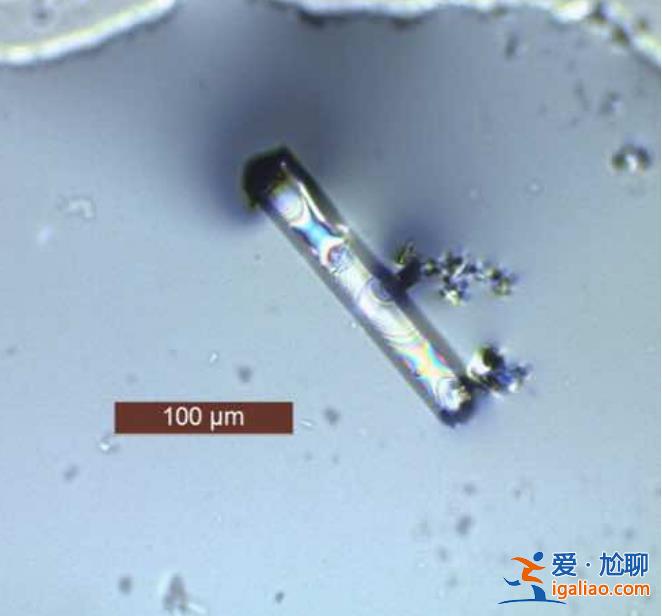 畫句號(hào)？中科院發(fā)現(xiàn)“室溫超導(dǎo)材料”假象根源 已發(fā)預(yù)印本論文？