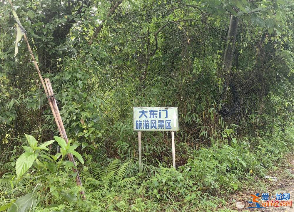 廣東汕尾蓮花山突發(fā)山洪背后 野景區(qū)的基層管理之困？