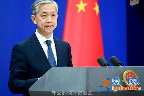 日本議員稱麻生太郎在臺(tái)言論提前同日政府討論過 外交部回應(yīng)？