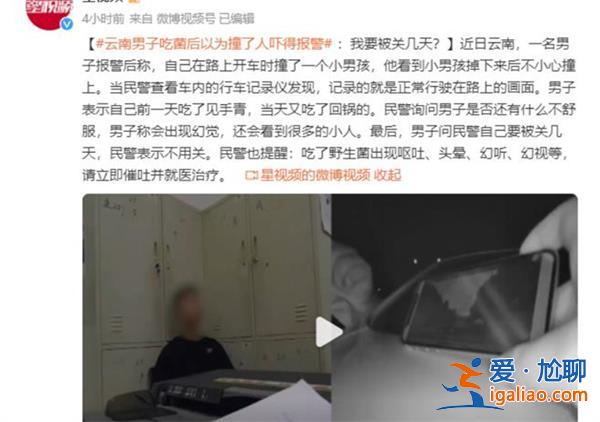 男子吃菌產生駕車撞人幻覺后自首，為何吃菌子會有幻覺[會有幻覺]？