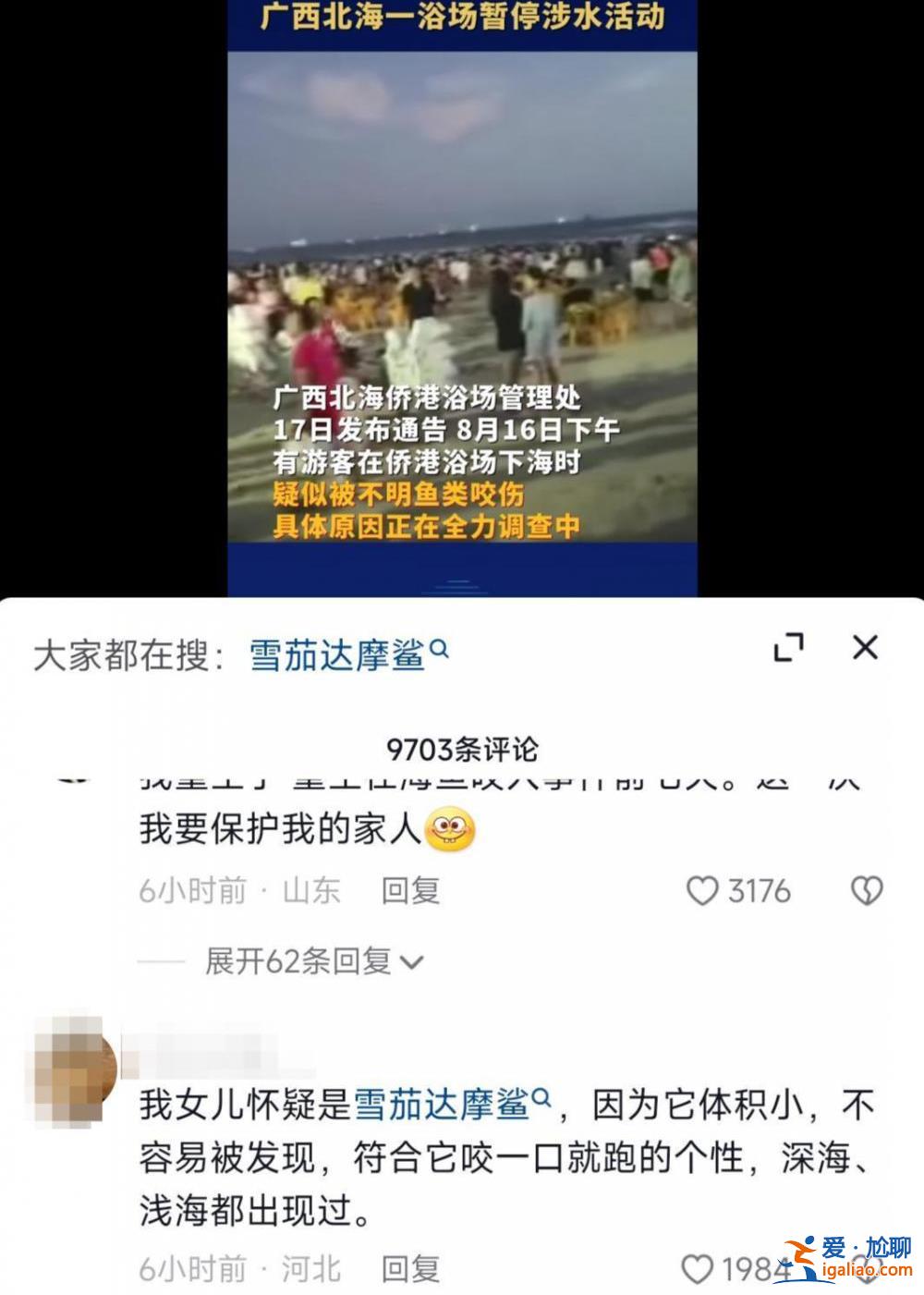 基本排除油錐、雪茄達摩鯊 海狼魚可能性較大？