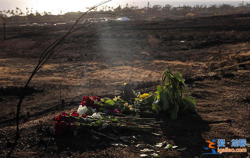 夏威夷“最致命”野火已致114人死亡 廢墟中出現(xiàn)了很多“X”字樣？