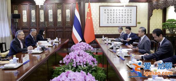 王毅同泰國副總理兼外長敦舉行會談？