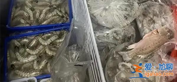 媽媽欲買海鮮囤滿冰柜？
