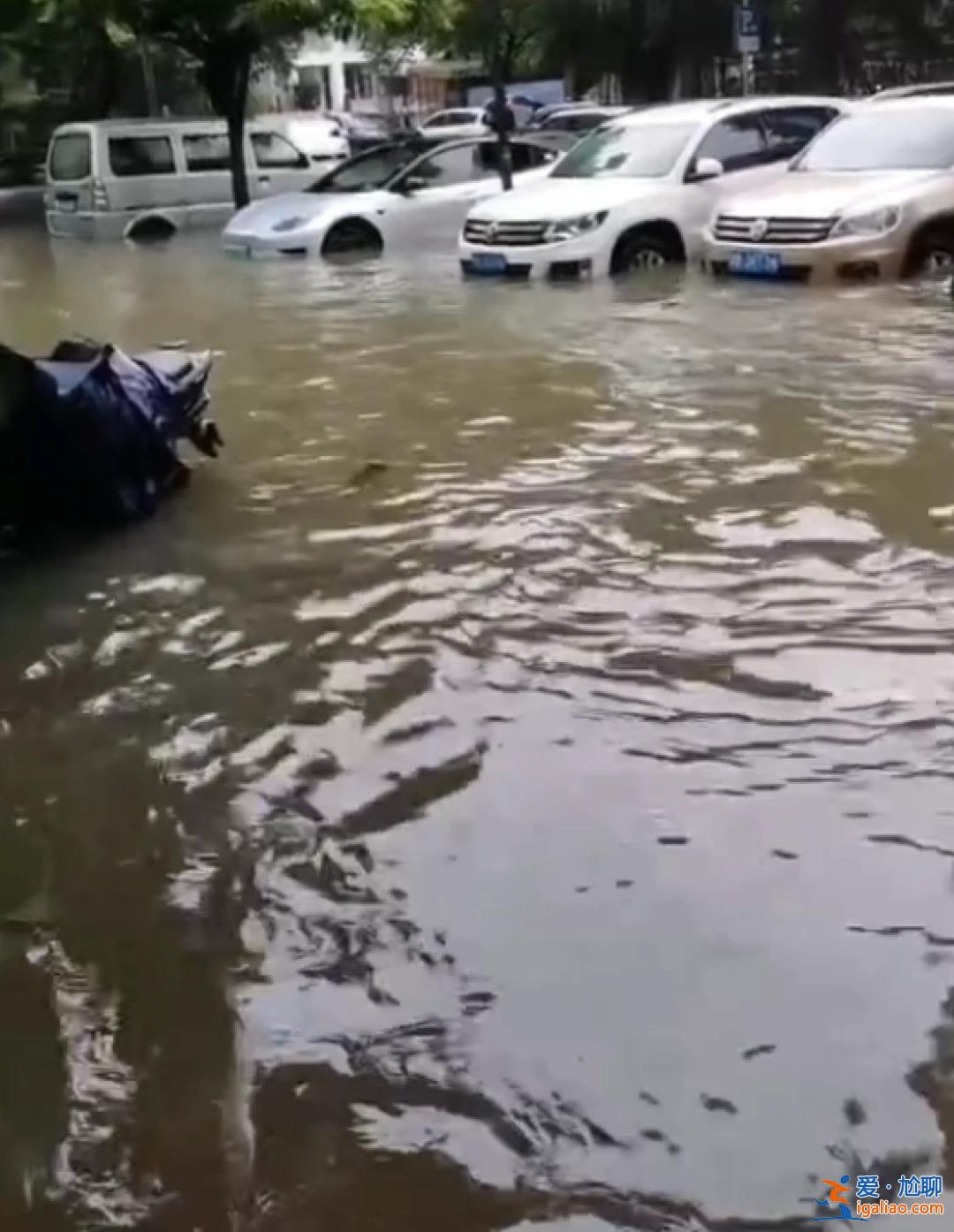 實(shí)在不好意思 但我太餓了？