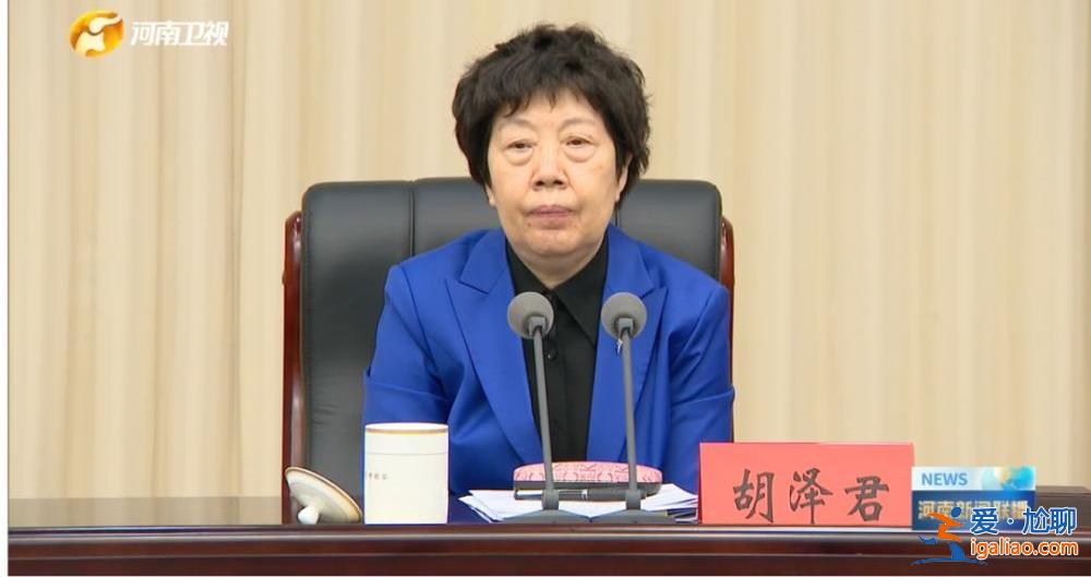 “女將”再掛帥！中央巡回指導(dǎo)組已赴地方 首位公開亮相的組長是她？