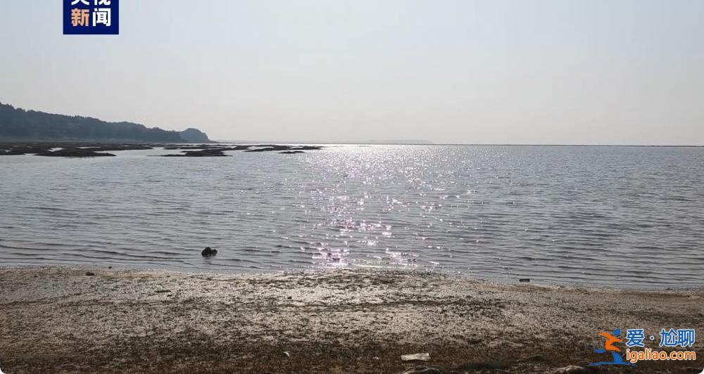 我國最大淡水湖鄱陽湖水位快速下降 重回12米枯水線以下？
