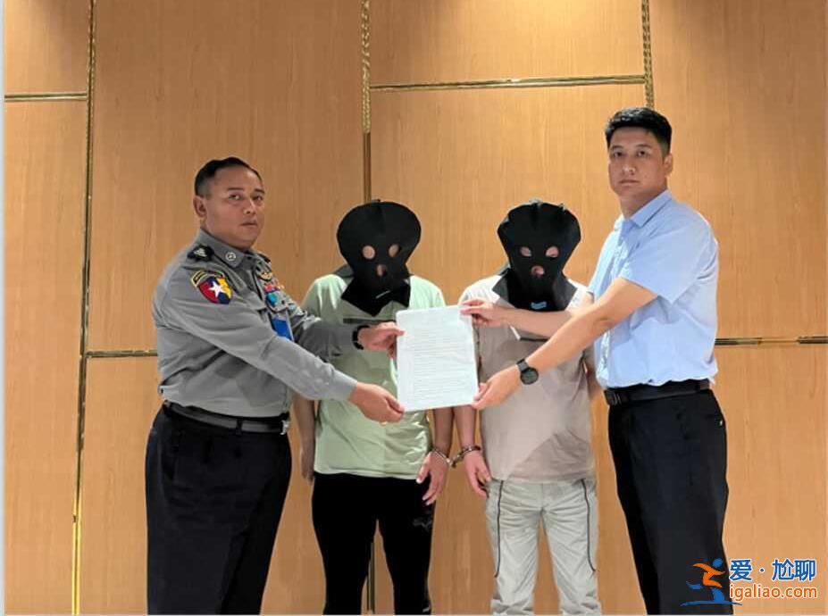 配合調(diào)查后解答公眾關(guān)注問題？