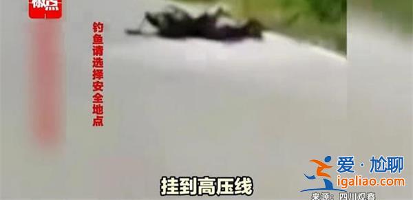 男子釣魚(yú)誤碰高壓線，全身焦黑，以下是男子觸電原因[子觸電原因]？
