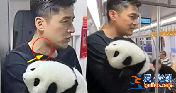 胡歌抱國寶現(xiàn)身地鐵，胡歌現(xiàn)身地鐵原因是這點[地鐵現(xiàn)身原因]？