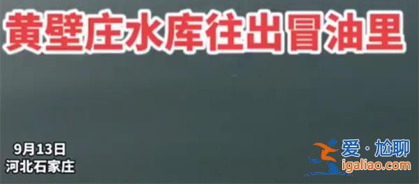 石家莊一水庫不斷冒油？