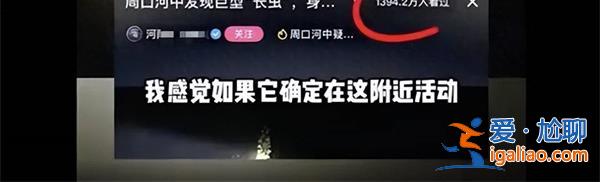 周口河中現(xiàn)巨型長蟲當(dāng)?shù)鼗貞?yīng)，巨型長蟲注意這一點(diǎn)[ 巨型長蟲注意]？