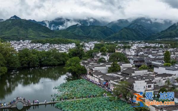 九名市（州）長(zhǎng)進(jìn)京檢討，以下是要其檢討的原因[進(jìn)京]？