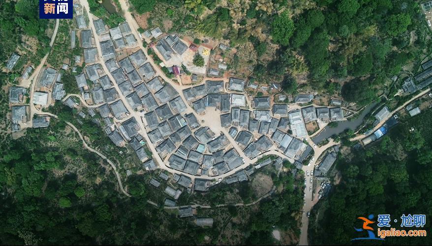 歷經(jīng)13年申遺 云南“普洱景邁山古茶林”列入世界遺產(chǎn)？
