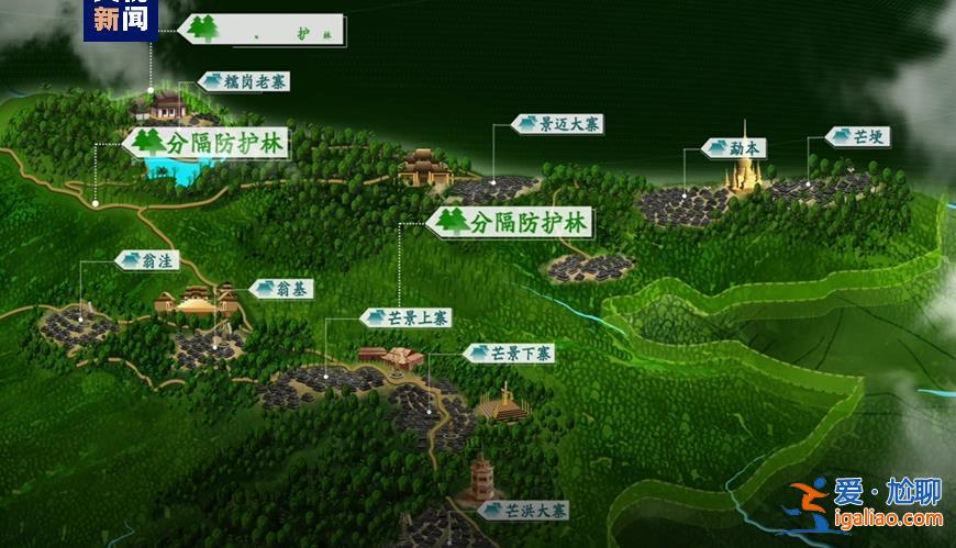 歷經(jīng)13年申遺 云南“普洱景邁山古茶林”列入世界遺產(chǎn)？