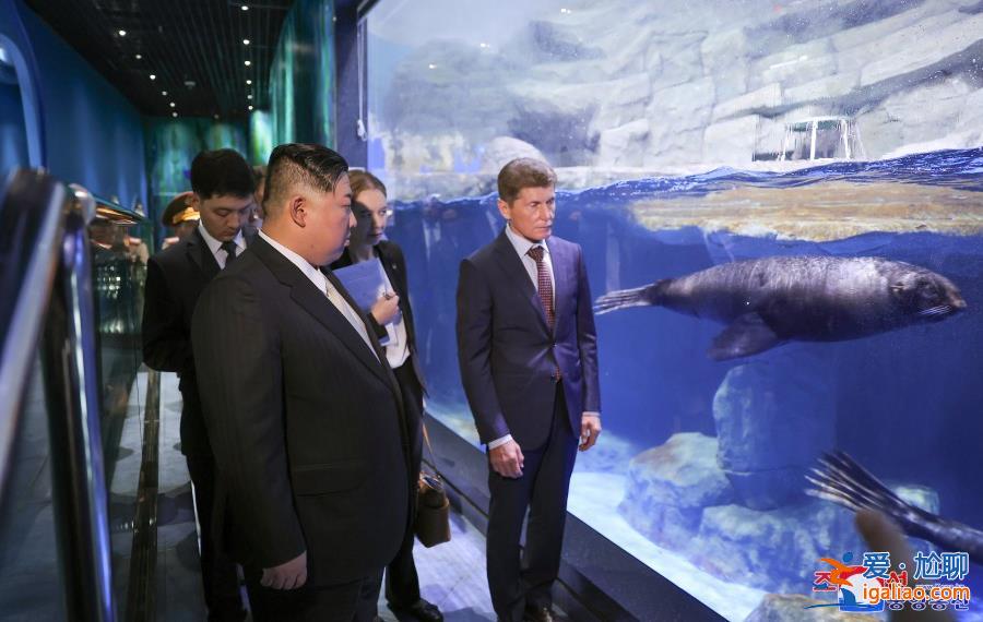 金正恩結(jié)束“最長出訪” 妹妹金與正“全程低調(diào)”？