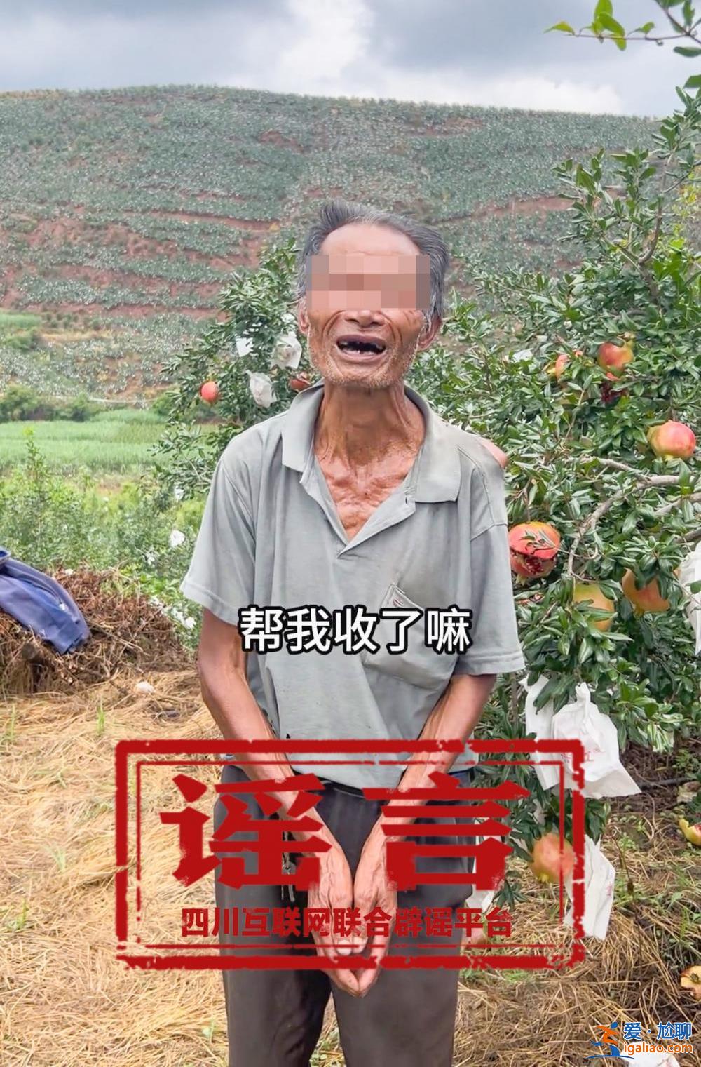 視頻全擺拍 主播給錢找村民出演？