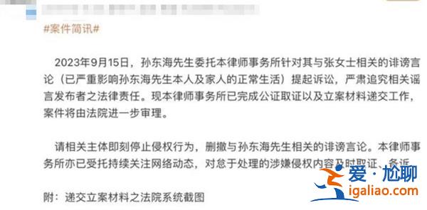 張柏芝起訴孫東海家暴 男方否認 下面是疑似家暴原因？