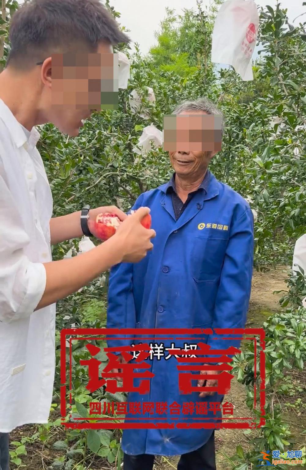 視頻全擺拍 主播給錢找村民出演？