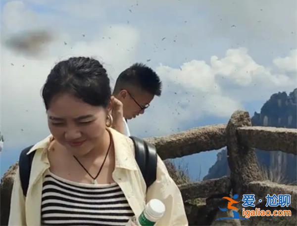 黃山飛蟲(chóng)成災(zāi)直撲人臉，以下是飛蟲(chóng)成災(zāi)的原因[成災(zāi)的原因]？