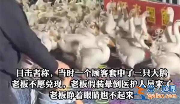 顧客套中3只大鵝老板耍賴[老板耍賴]？