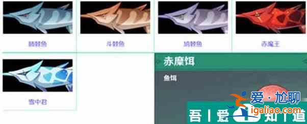 原神魚愛吃什么餌 具體一覽？