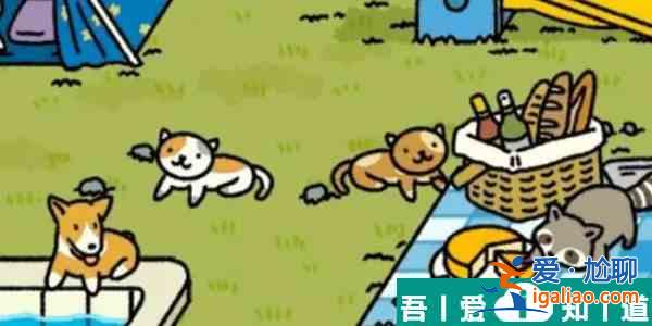 萌宅物語(yǔ)貓咪丟失了怎么辦 萌宅物語(yǔ)貓咪丟失找回方法？
