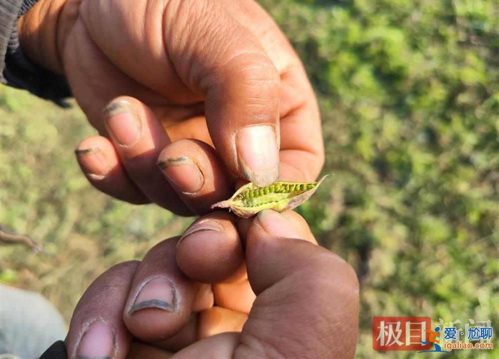 有人想讓我退出這塊地？