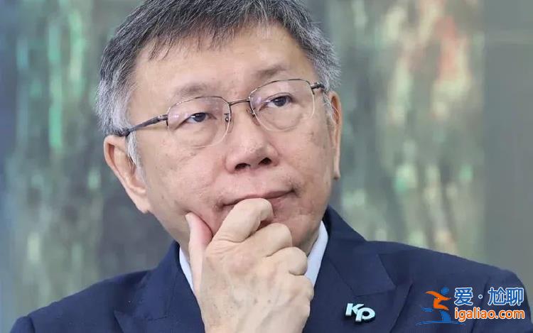 “藍白合”達成 民進黨派系斗爭激烈？