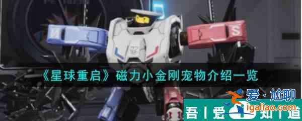 星球重啟磁力小金剛寵物怎么樣 磁力小金剛寵物介紹一覽？