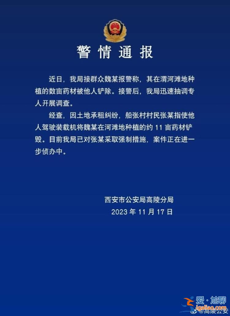 已對指使者采取強(qiáng)制措施？