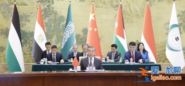 王毅同阿拉伯、伊斯蘭國家外長聯(lián)合代表團(tuán)會(huì)談？