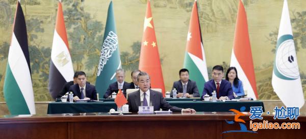 王毅同阿拉伯、伊斯蘭國家外長聯(lián)合代表團(tuán)會(huì)談？