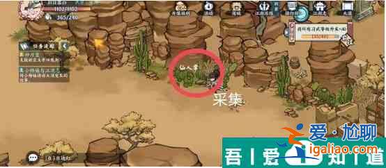 方寸對決大漠江湖志怎么玩  方寸對決大漠江湖志攻略？
