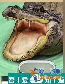 全民劇本大師鱷魚拔牙怎么通關(guān) 鱷魚拔牙通關(guān)攻略？