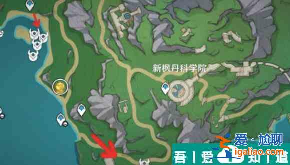 原神原海異種采集路線圖是什么 原海異種采集路線圖一覽？