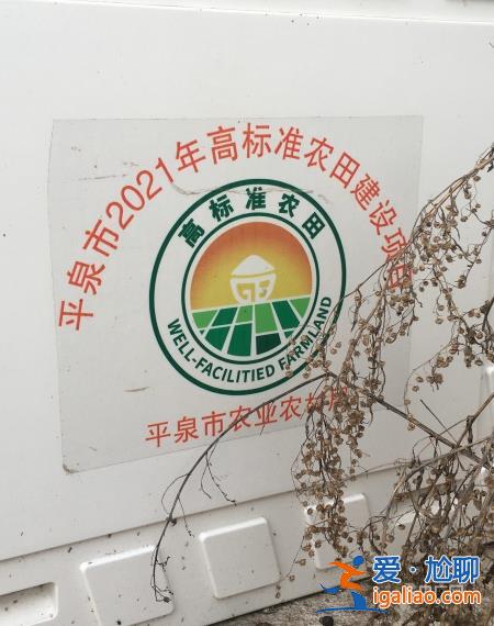 多數(shù)機(jī)井不能用、灌溉難造成作物減產(chǎn) 河北平泉建設(shè)的高標(biāo)準(zhǔn)農(nóng)田為何不達(dá)標(biāo)？？