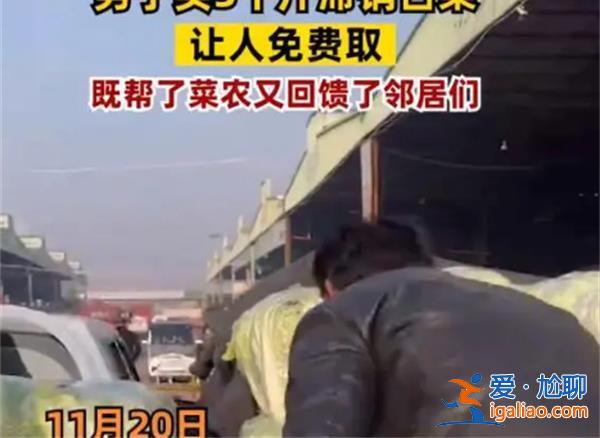 男子買3千斤滯銷白菜讓人免費(fèi)取，貢獻(xiàn)社會(huì)比扔了有意義[滯銷]？