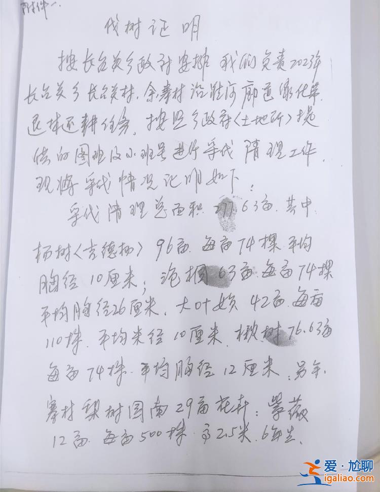 河南信陽一鄉(xiāng)政府邀請農(nóng)業(yè)公司建生態(tài)林 幾年后派人砍樹稱其違法占地？