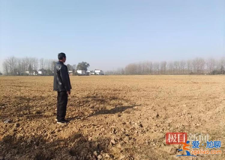 河南信陽一鄉(xiāng)政府邀請農(nóng)業(yè)公司建生態(tài)林 幾年后派人砍樹稱其違法占地？